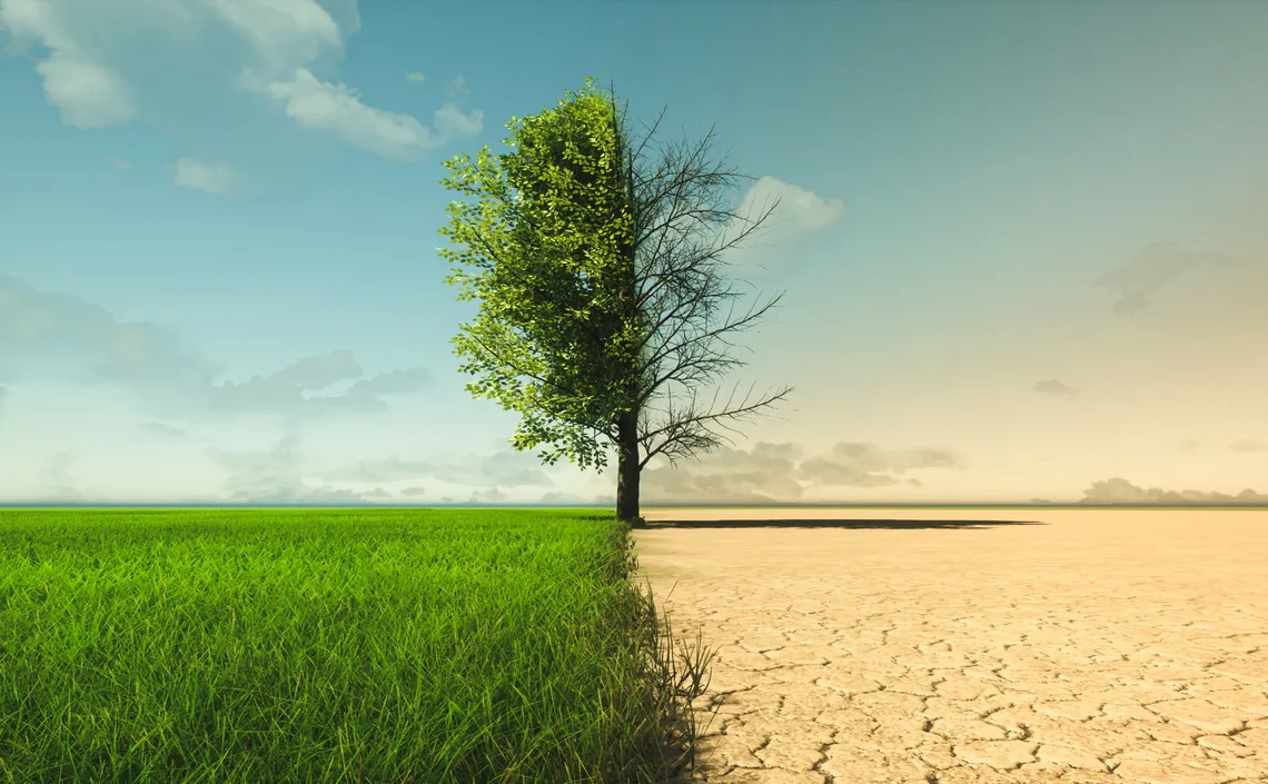 La Tierra sigue ‘al borde de la catástrofe climática’ pese a la COP27