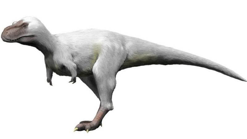 Cómo eran los dinosaurios polares y por qué desafían lo que pensábamos  sobre estos gigantescos animales prehistóricos - La Prensa de Coahuila