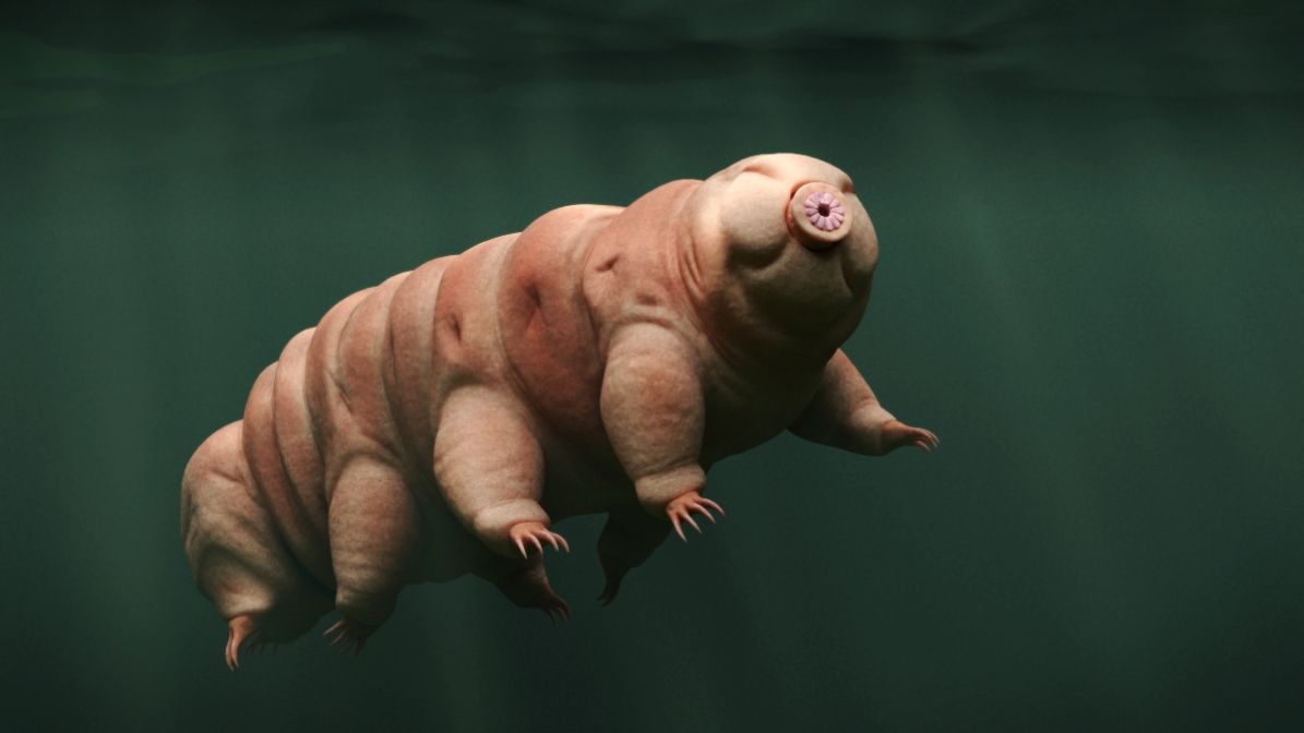 El ser vivo más fuerte del mundo es sometido a 5 pruebas extremas