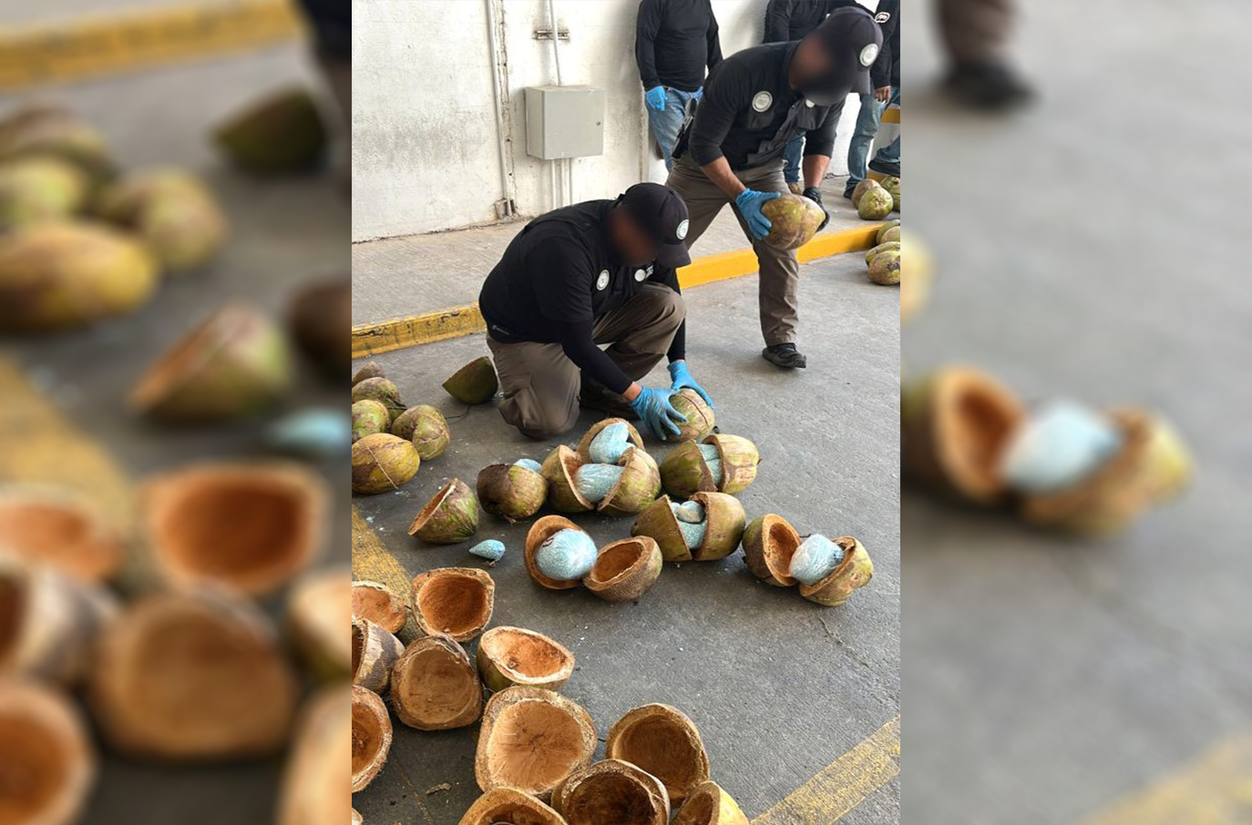 A juicio la pareja que transportaba 6 mdd de fentanilo en cocos