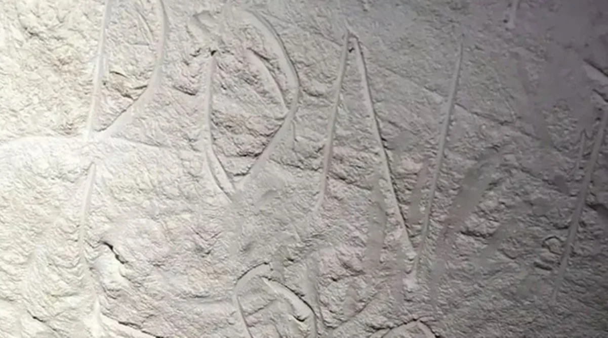 Vandalizan arte aborigen de hace 30 mil años en cueva australiana