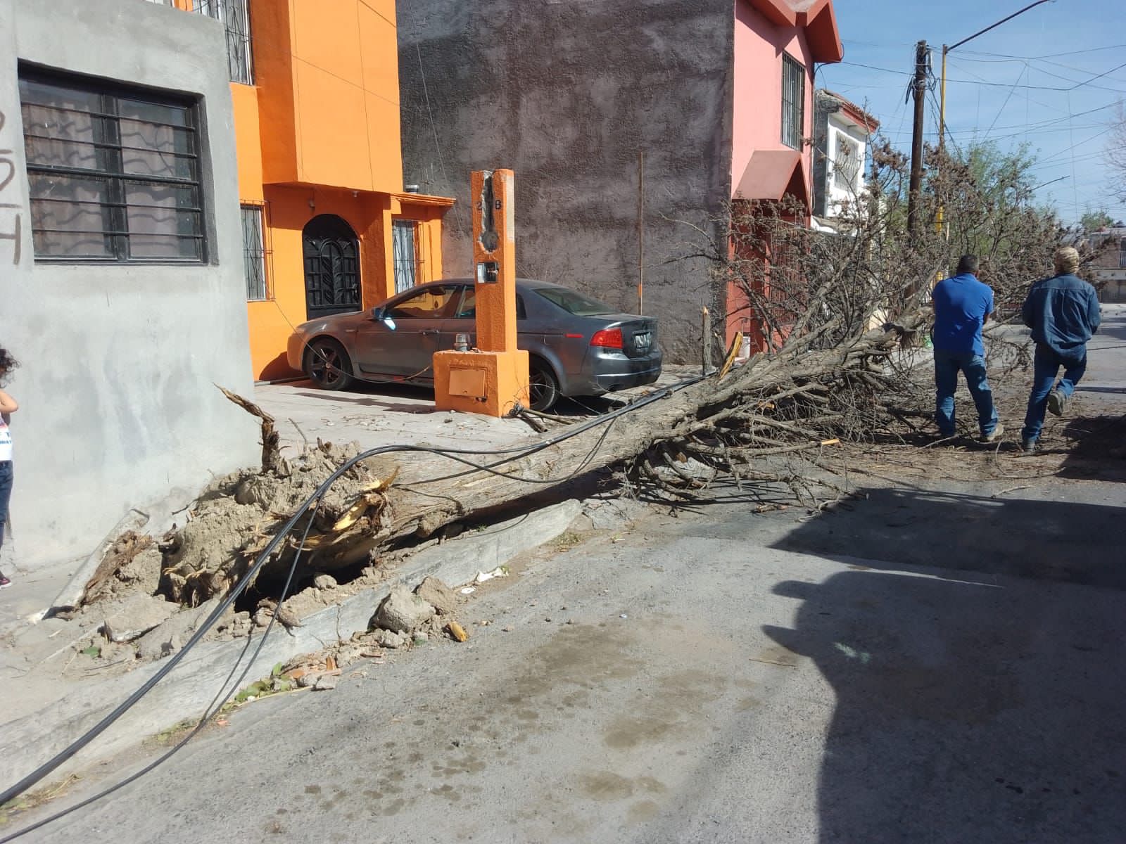 Atiende Gobierno de Saltillo incidencias ante fuertes vientos