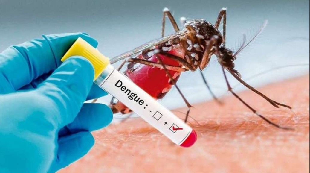 Temporada de dengue: ¿Qué es, cómo se transmite y cuáles son sus síntomas?