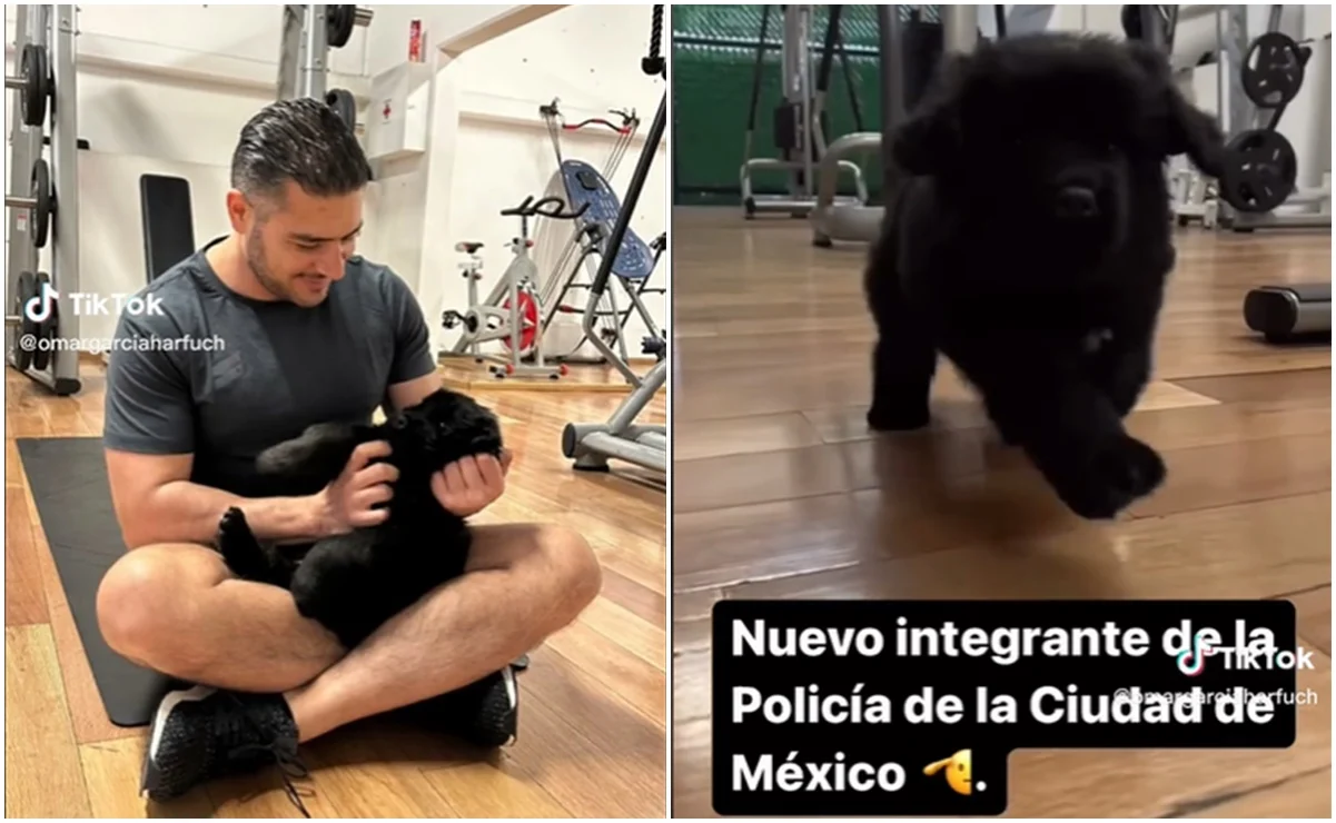VIDEO: García Harfuch presenta al nuevo integrante de la Policía CDMX; usuarias lo llenan de piropos