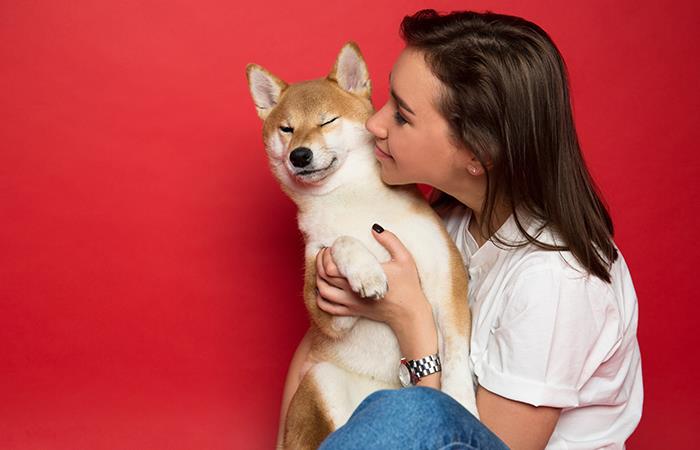 a los perros les gustan los besos y los abrazos