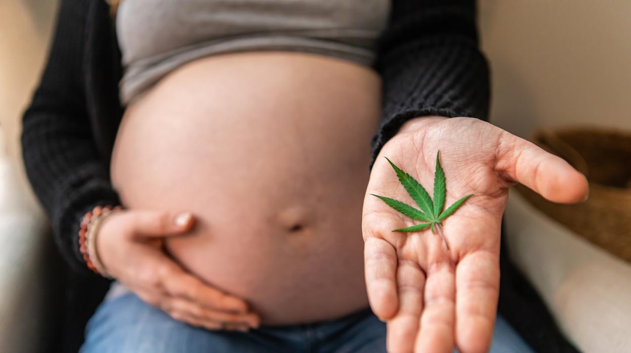 ¿Cannabis en el embarazo? Estudio revela sus efectos