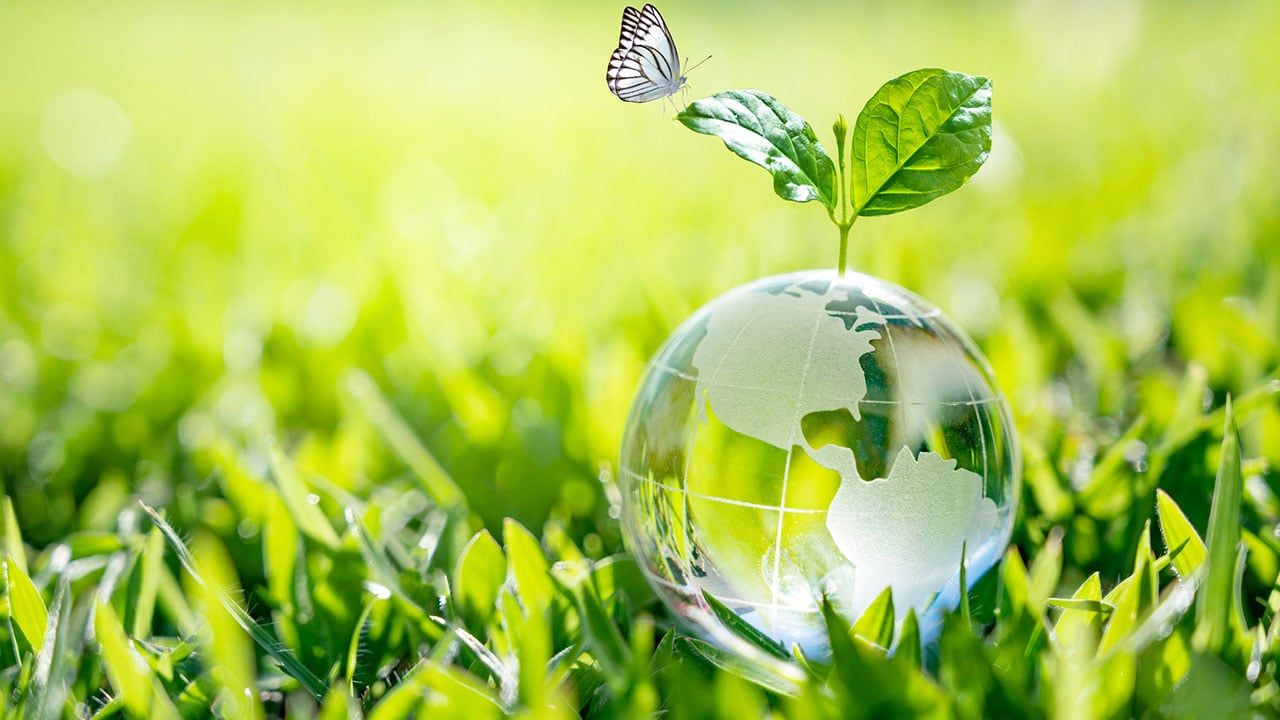 Día de la Tierra: ¿Qué productos de uso cotidiano contaminan el medio ambiente?
