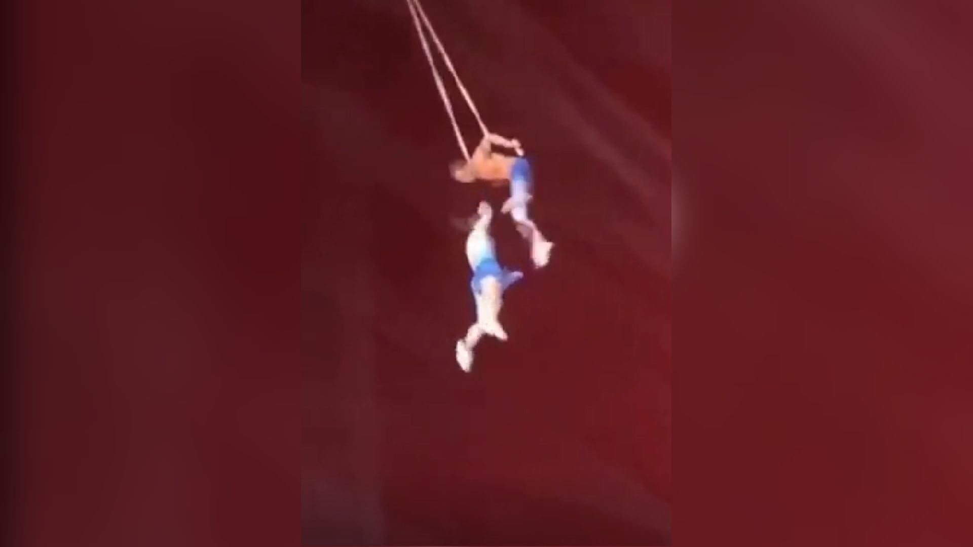 VIDEO : Trapecista muere tras caer de una altura de 9 metros en pleno acto circense