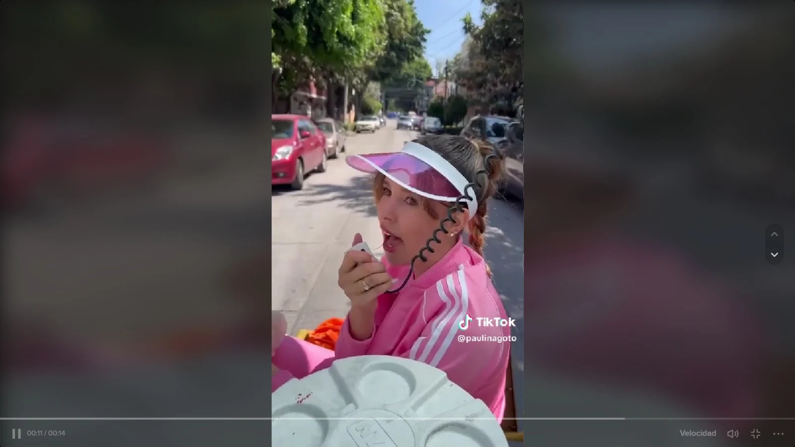 Audio de fierro viejo versión “fresa” se viraliza en redes sociales; dicen que es el que se usa en Polanco