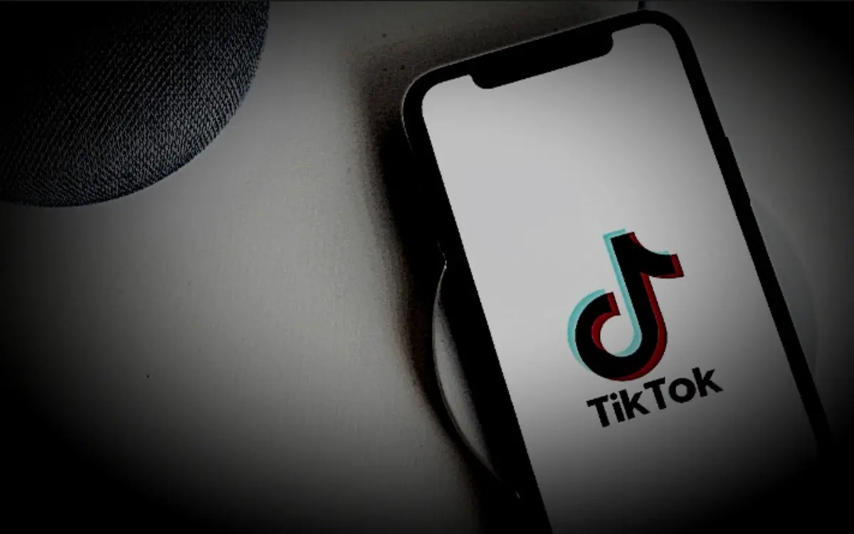 Elimina TikTok 81 cuentas por promover delitos en Sonora &nbsp;