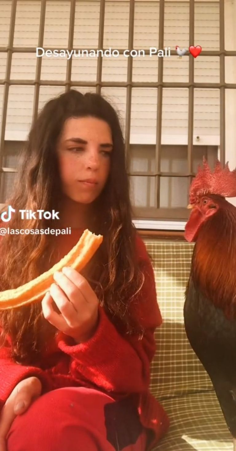 VIDEO: «Quédate con quien te reciba así»: la tierna reacción de un gallito al ver llegar a su dueña