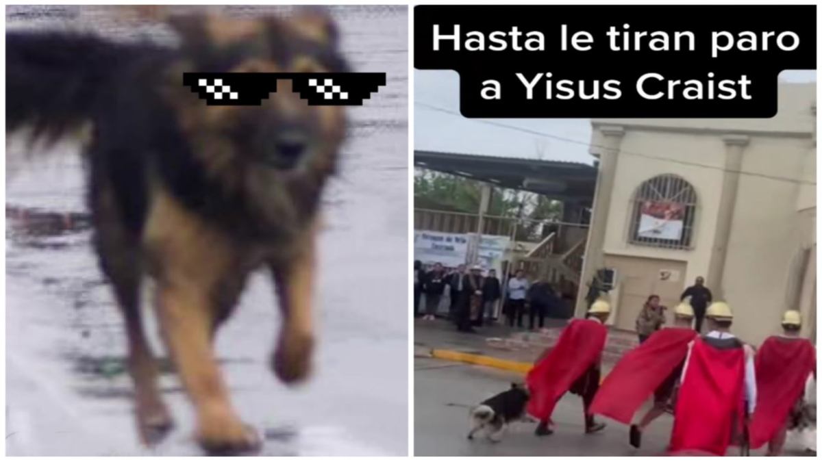 Perro callejero defiende a Jesucristo en viacrucis de Coahuila