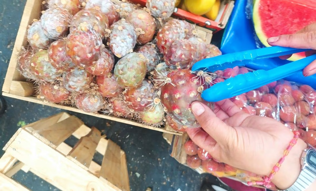 Pitaya, una fruta desértica con muchos beneficios