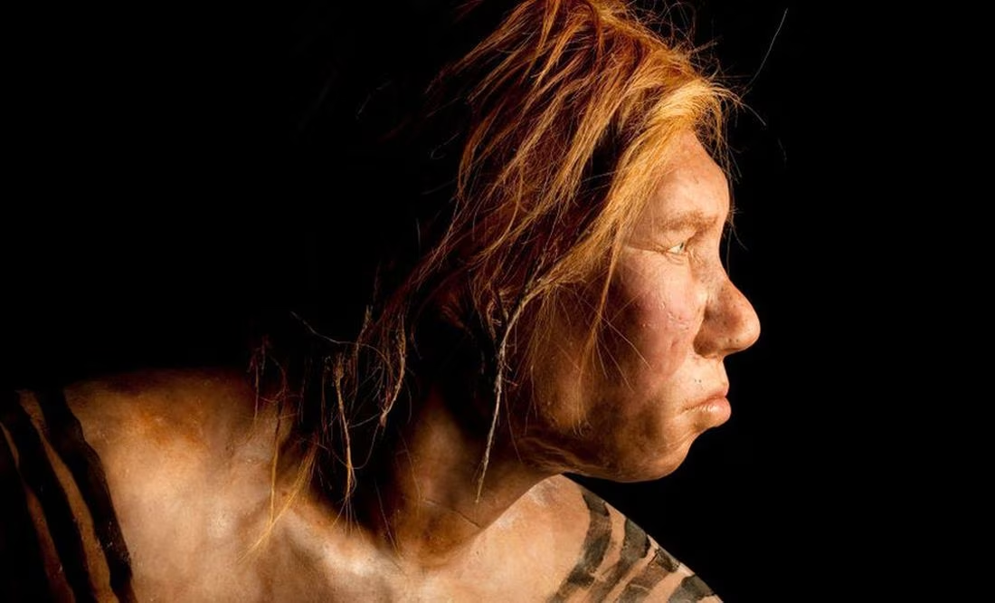 ¿Neandertales, más cultos y sofisticados de lo que se piensa?