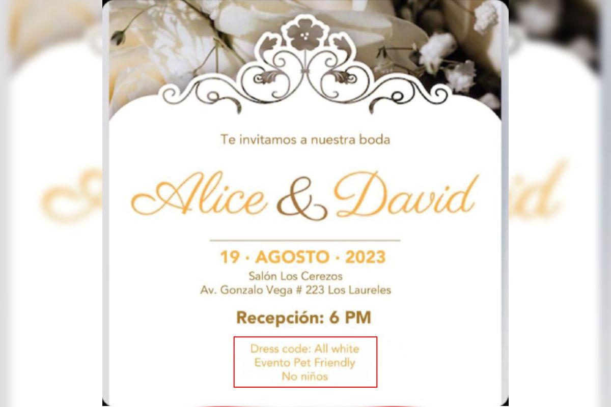 Indigna invitación para boda «pet friendly»: se aceptan mascotas, pero no niños