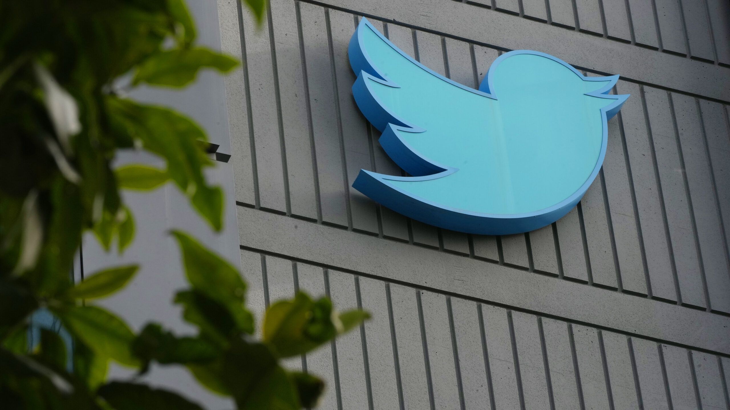 ¡Atención! Twitter te va a pagar por tu contenido en las siguientes 72 horas
