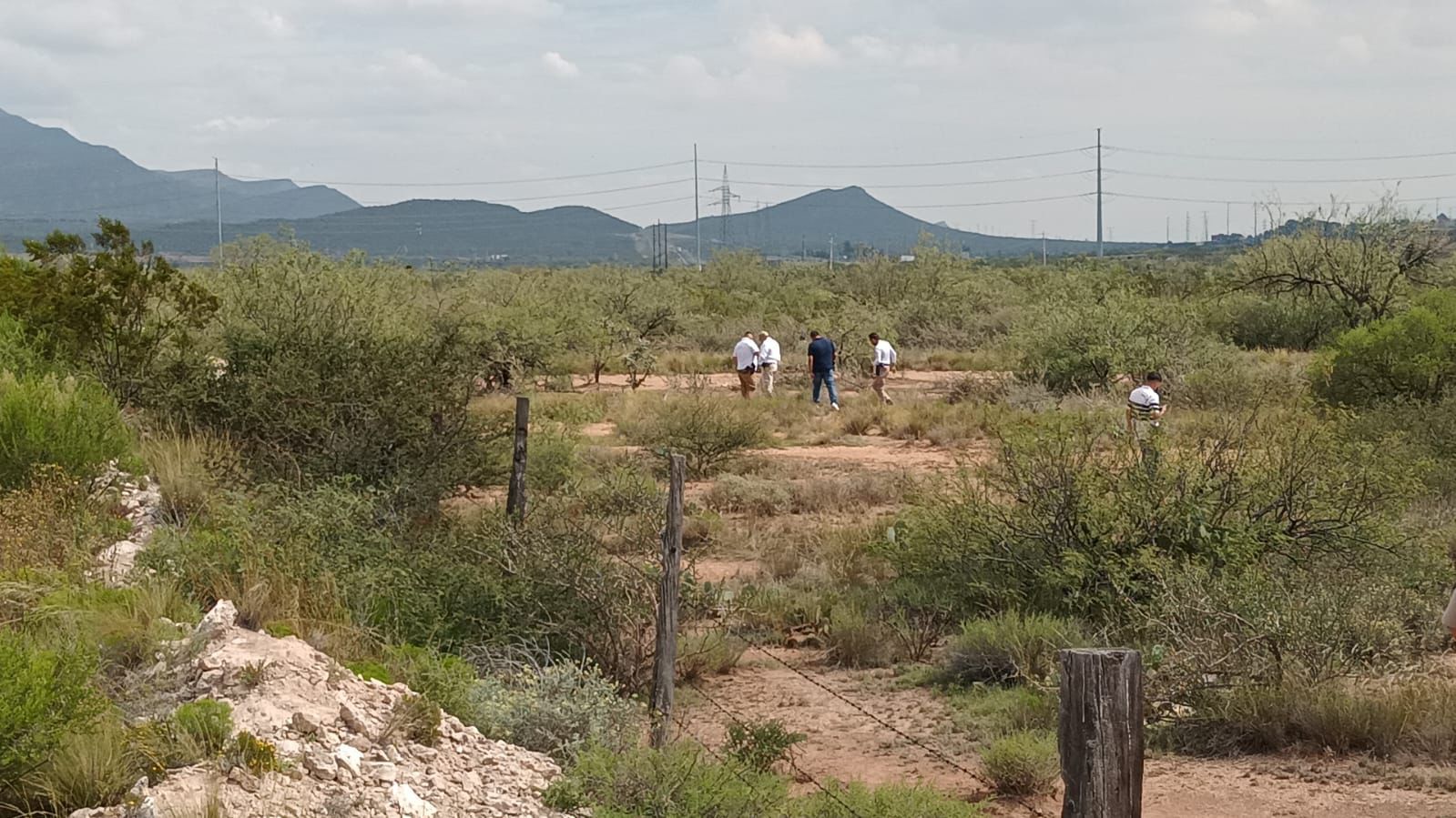 Localizan a cadáver; cuerpo fue devorado por animales salvajes