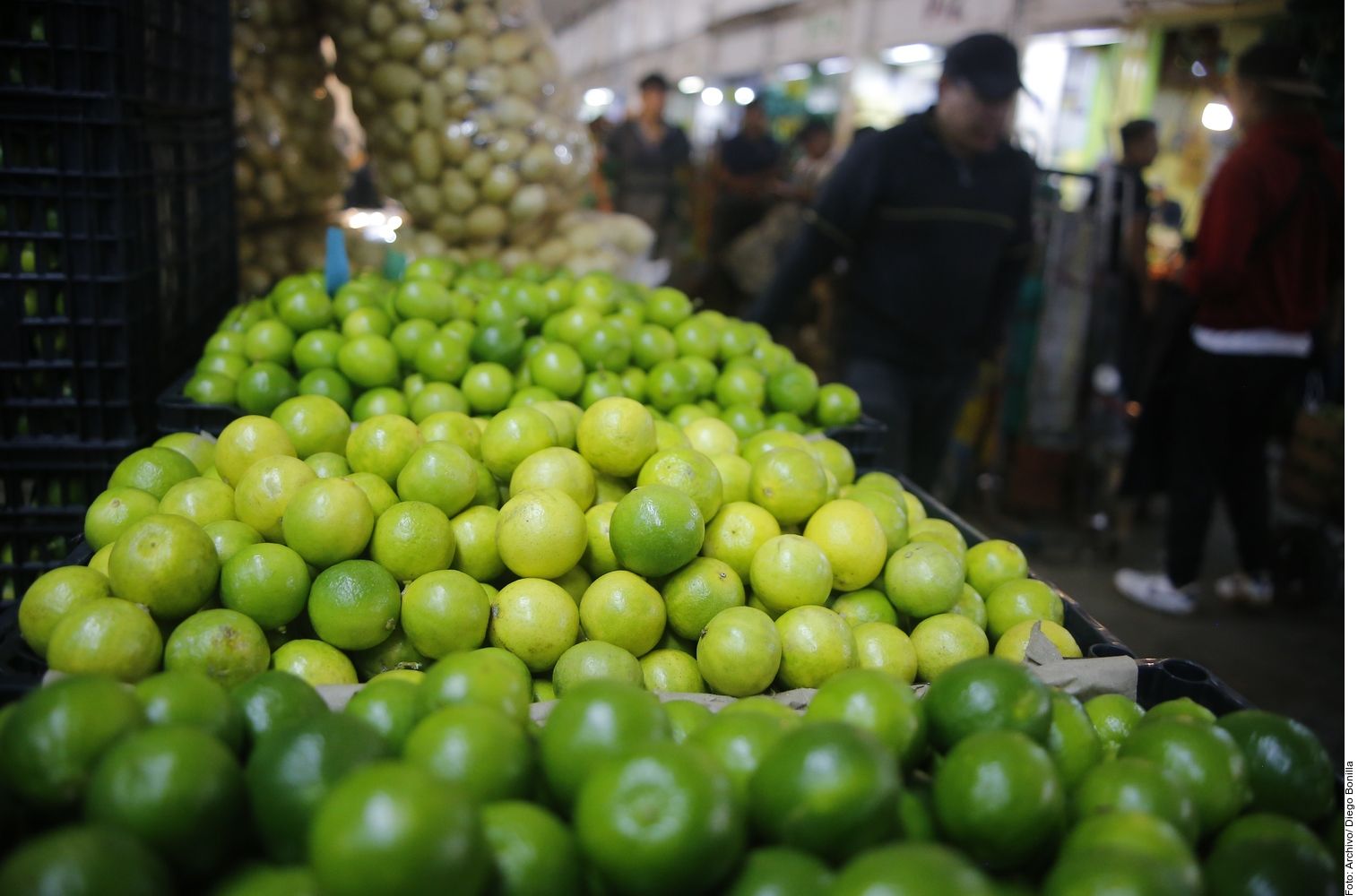 Pagan limoneros 100 mdp al crimen al mes