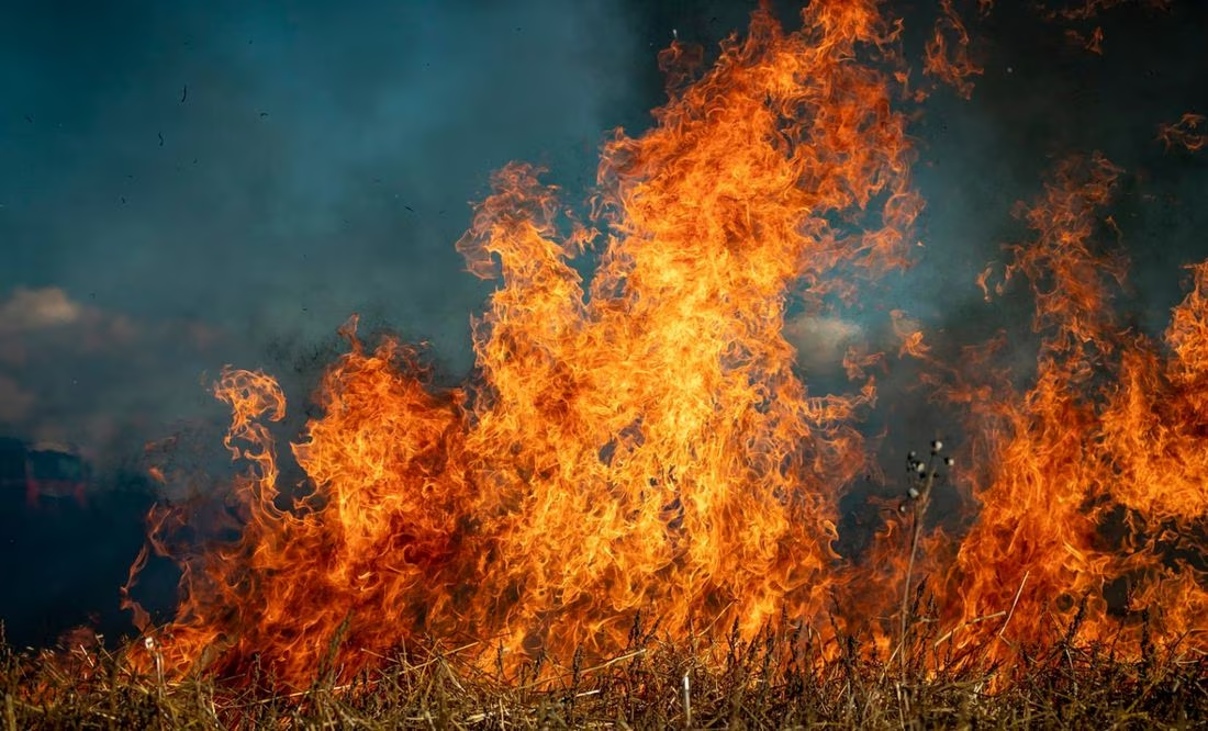 Comienzan evacuaciones a gran escala en Hawái por incendios forestales