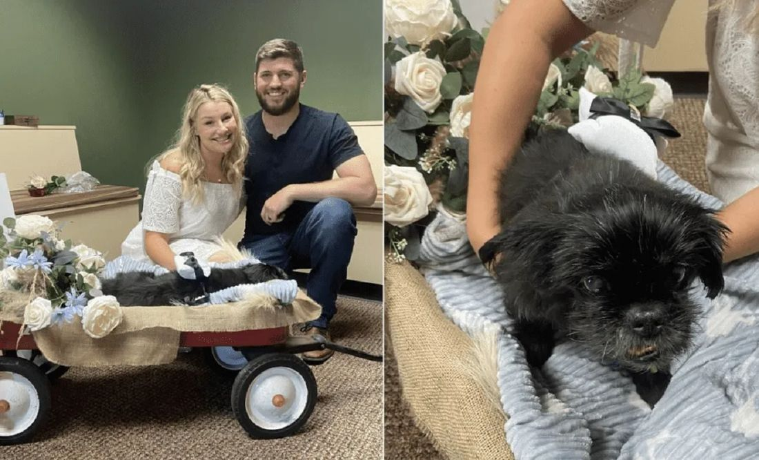 Pareja se casa en veterinaria donde estaba internado su perrito y se hace viral