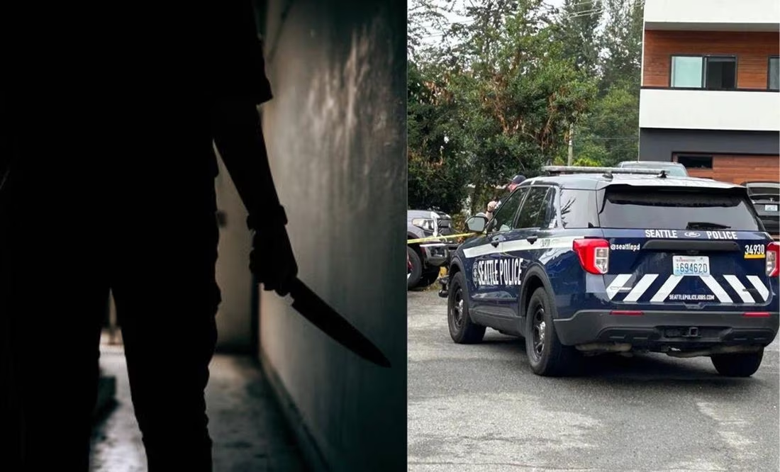 Joven fue apuñalada más de 100 veces en un intento por defender a su madre de un ataque