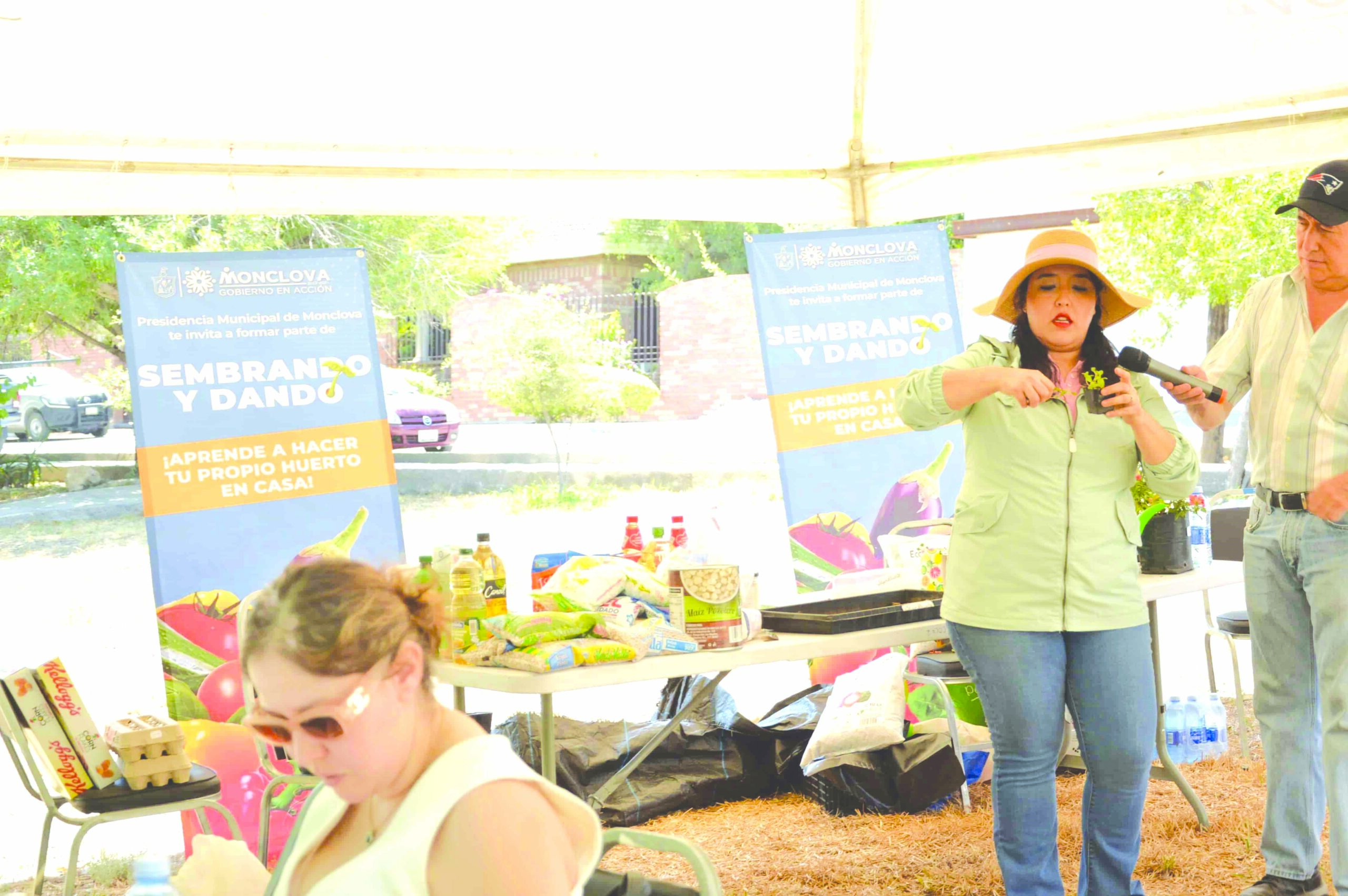 Enseñan a cultivar Huertos Familiares