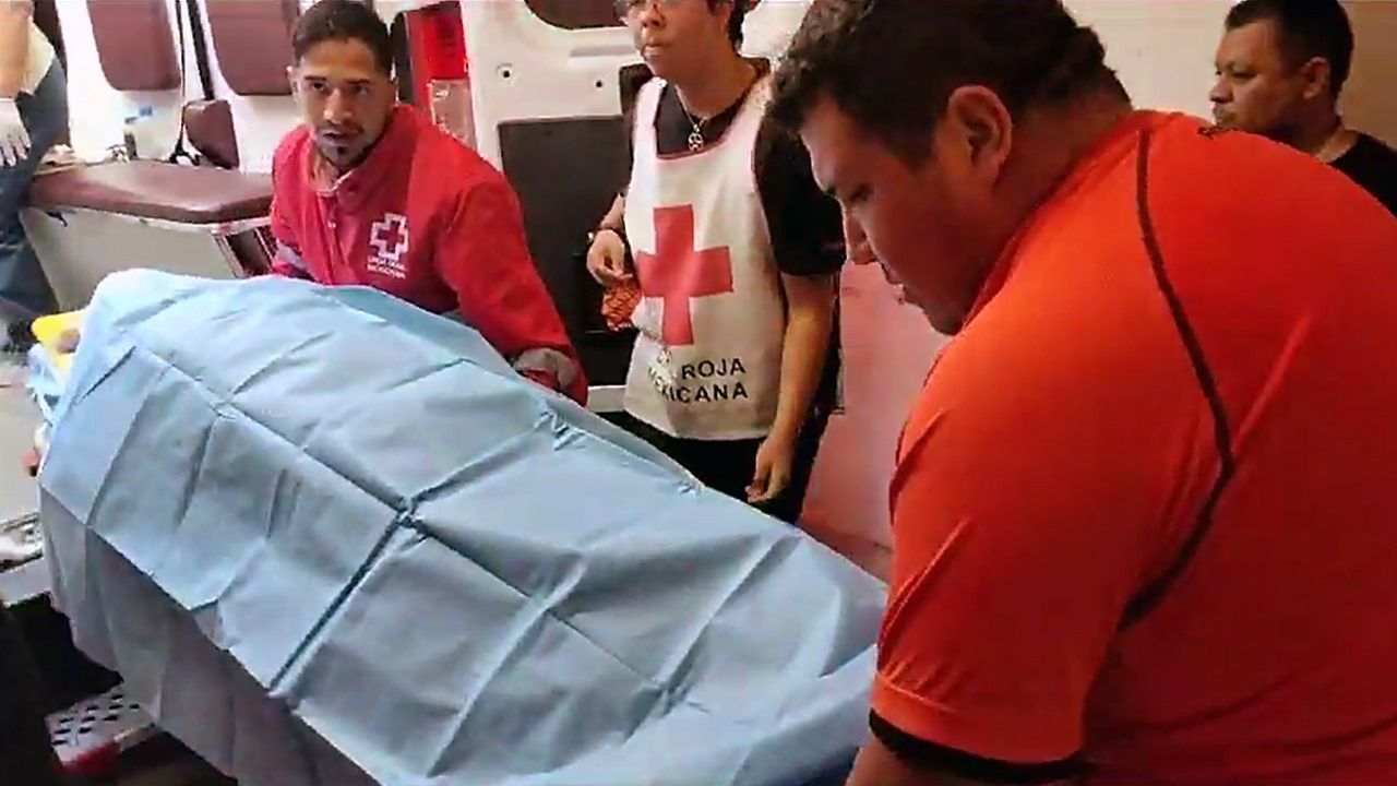 Embiste auto familiar a vaca