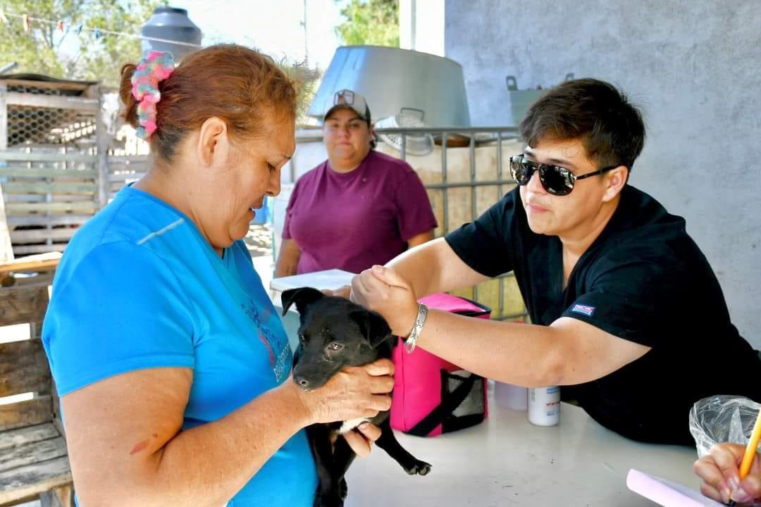 Es Gobierno de Ramos amigo de las mascotas