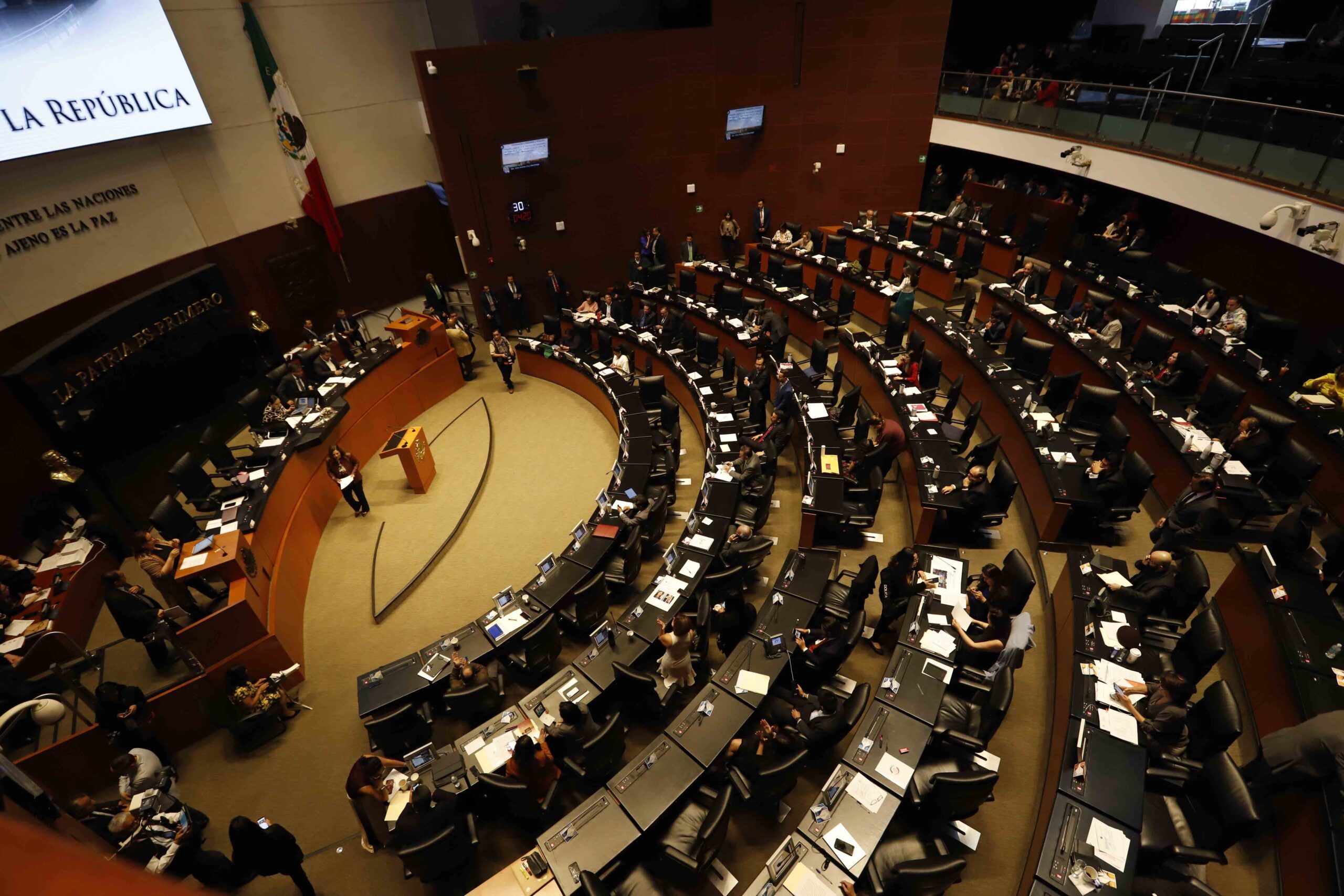 Presentan en Senado «Ley Silla» para empresas