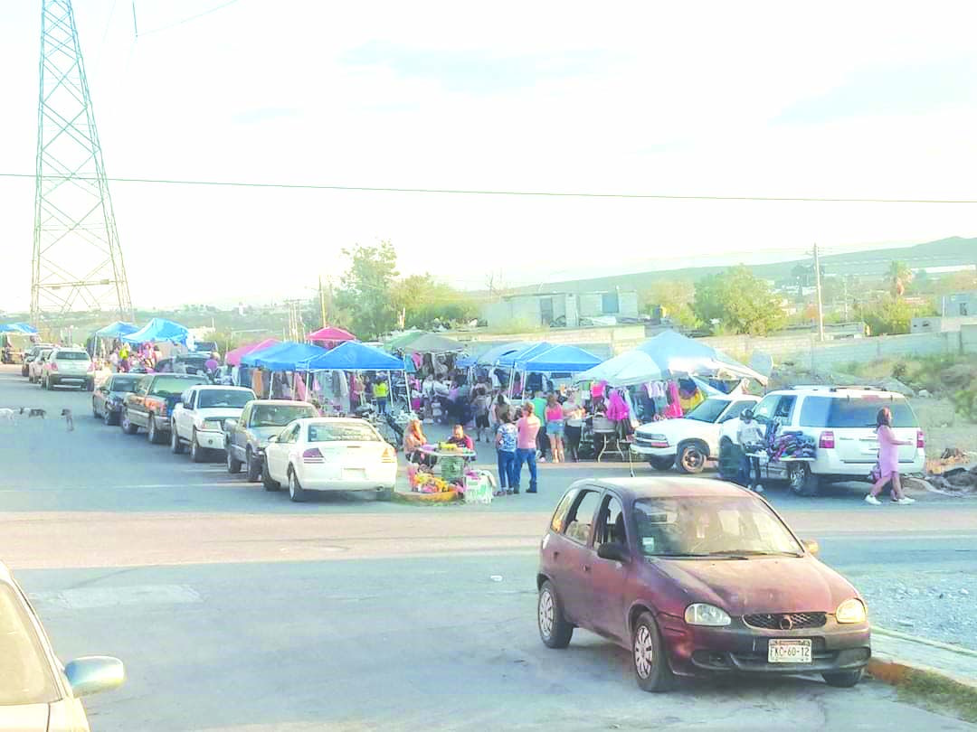 Multiplican “pulgas” en diversas colonias