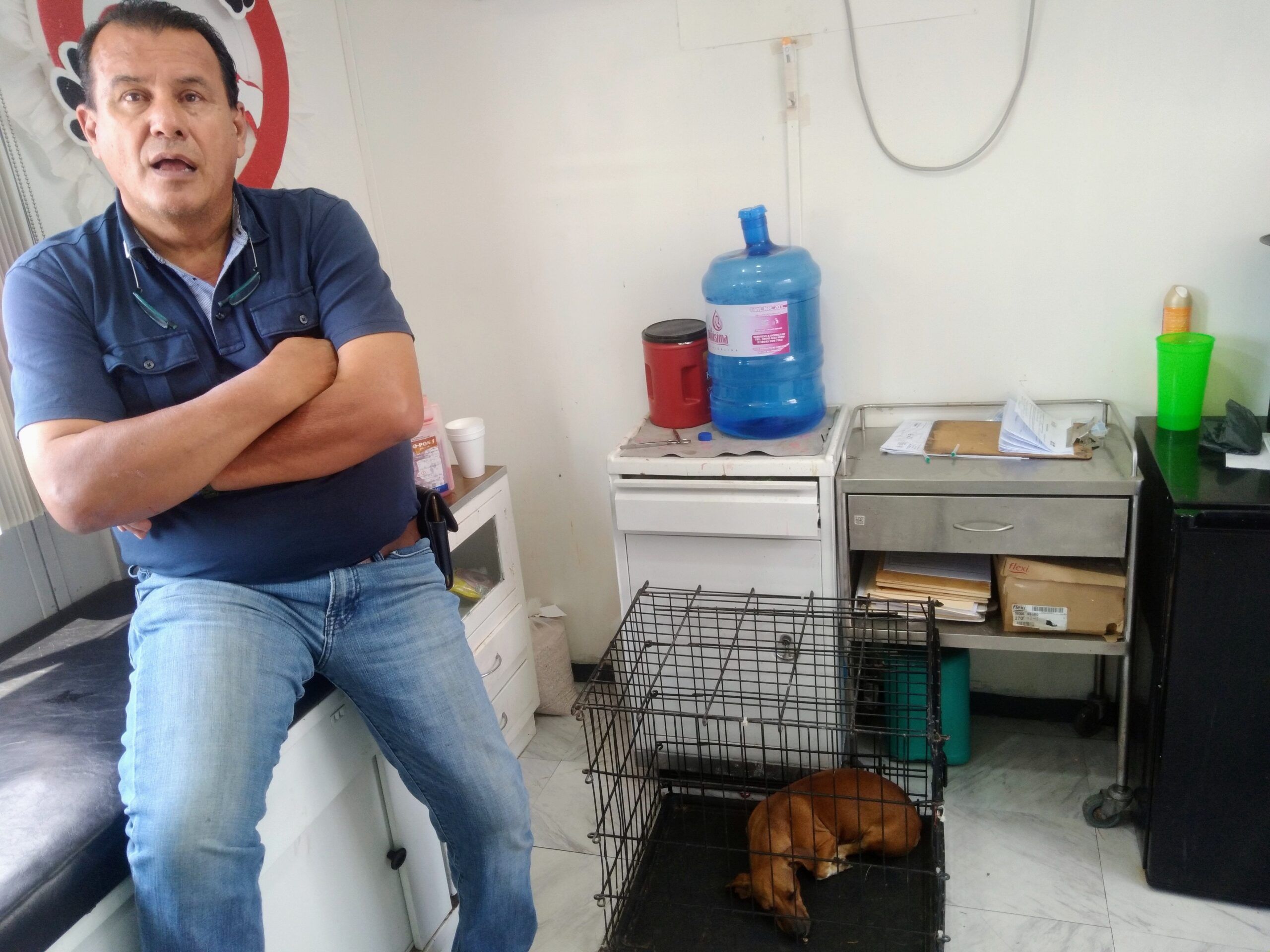 Ofrece tratamiento para las garrapatas