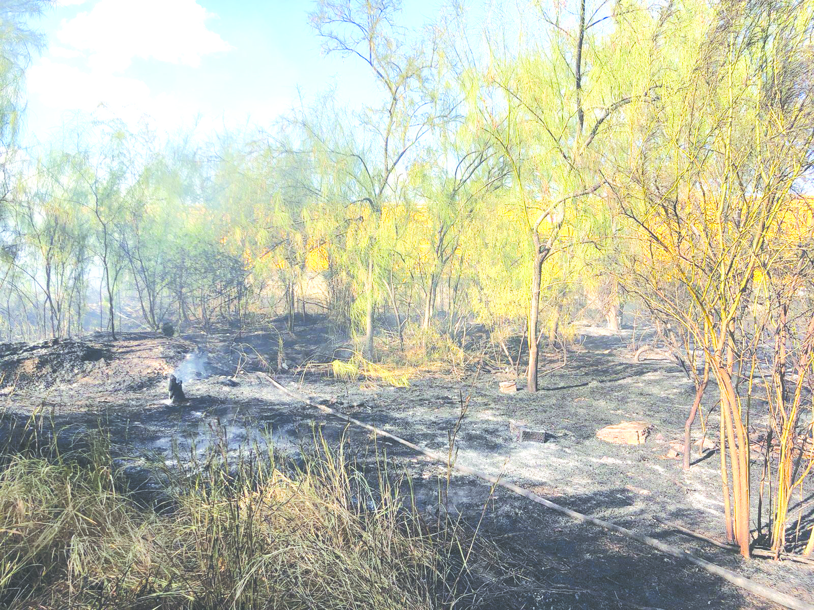 Controlan Bomberos incendio en lote baldío