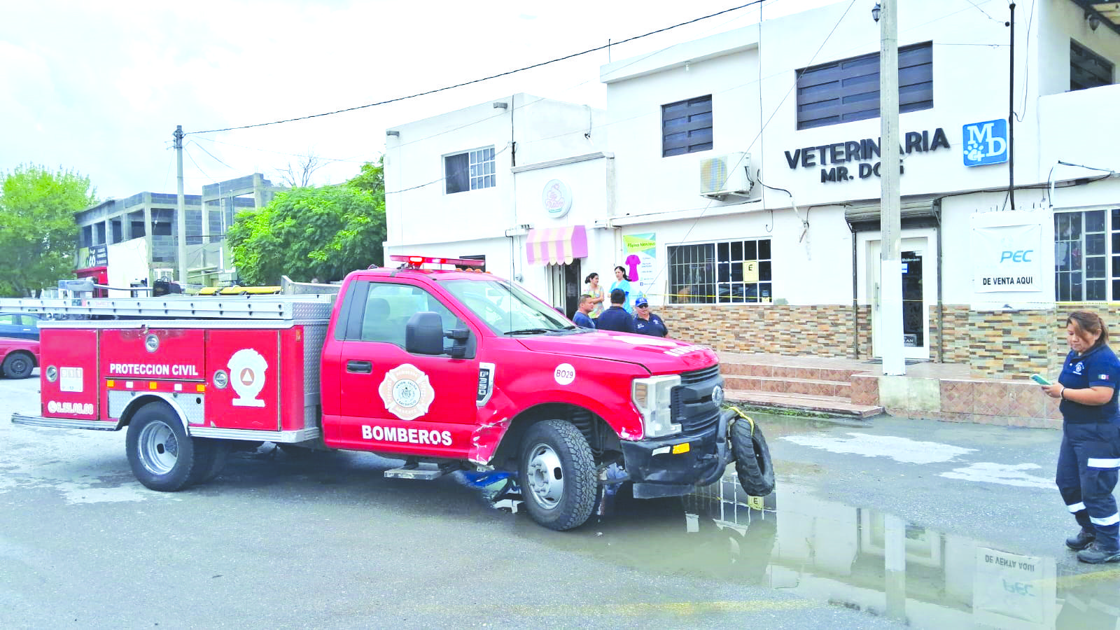 Recibe veterinario descarga eléctrica