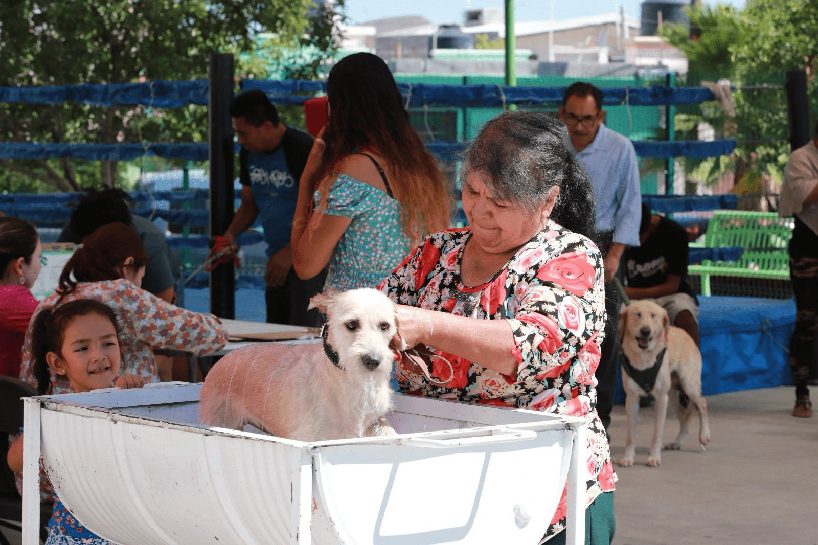 Llegará campaña contra las garrapatas a Mirasierra y Teresitas