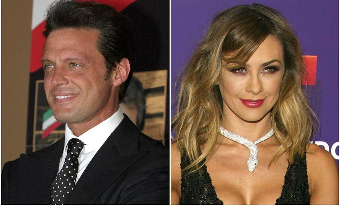 Pensión depositada por Luis Miguel para sus hijos es de 25 millones; Aracely Arámbula no la cobra