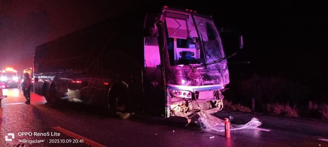 MATA CAMIONAZO A 7; MUEREN 4 NIÑOS