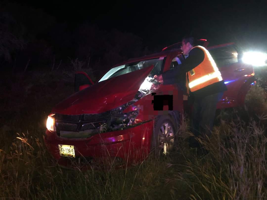 Animales en carretera provocan 2 accidentes