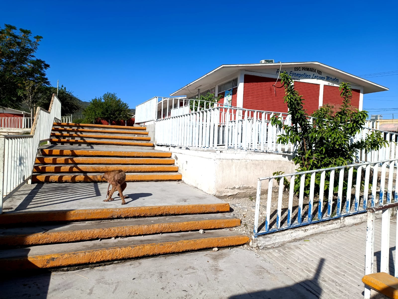 Niegan acceso a niños por no portar uniforme