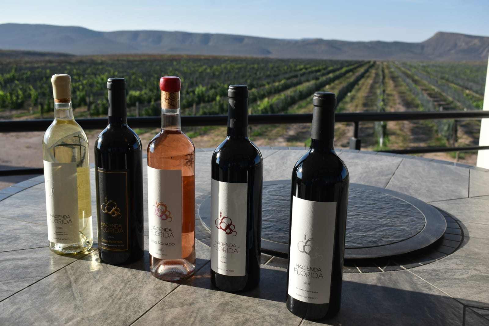 Celebra Coahuila el  Día Estatal del Vino