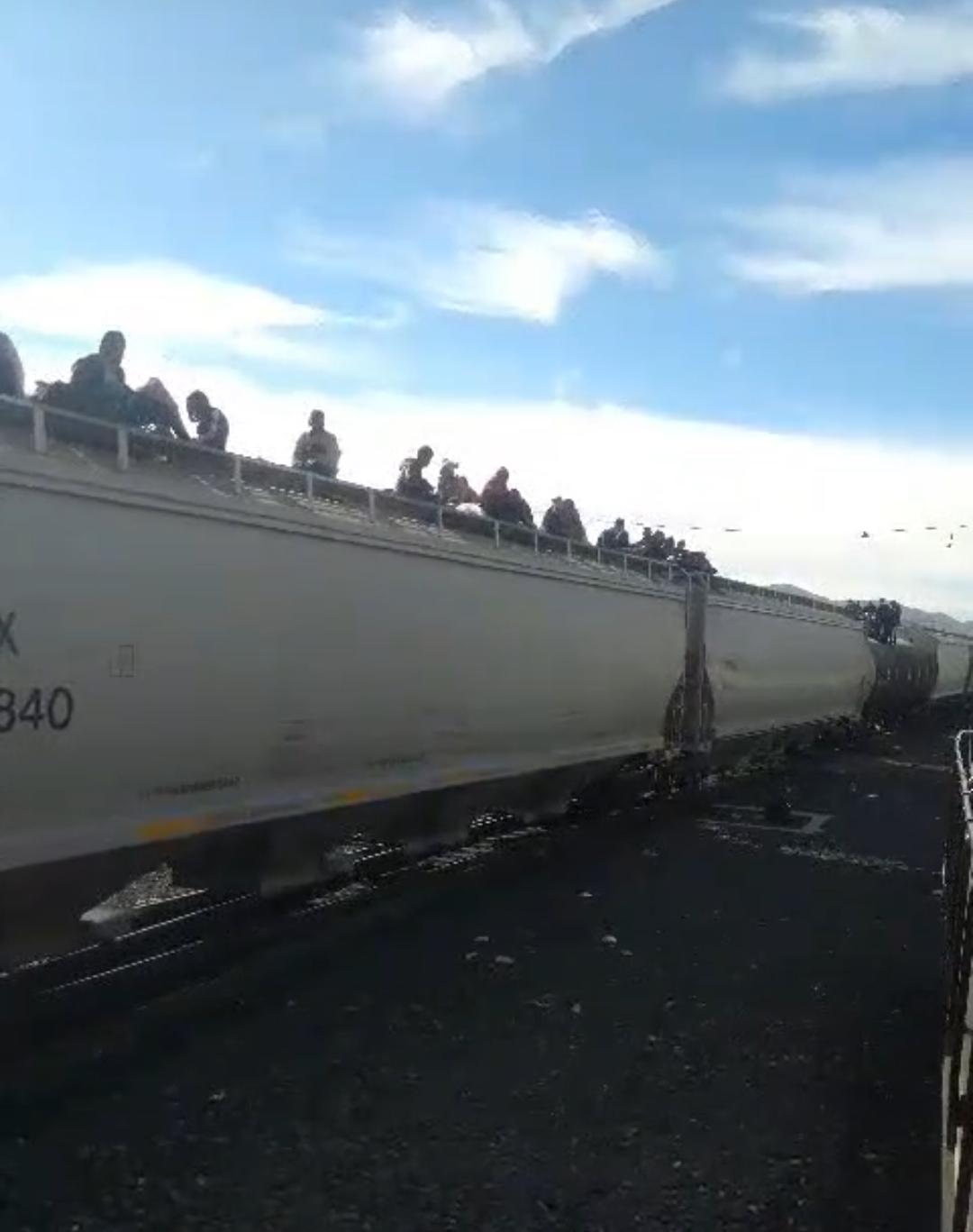 Van en tren o caminando; cruzan miles de migrantes