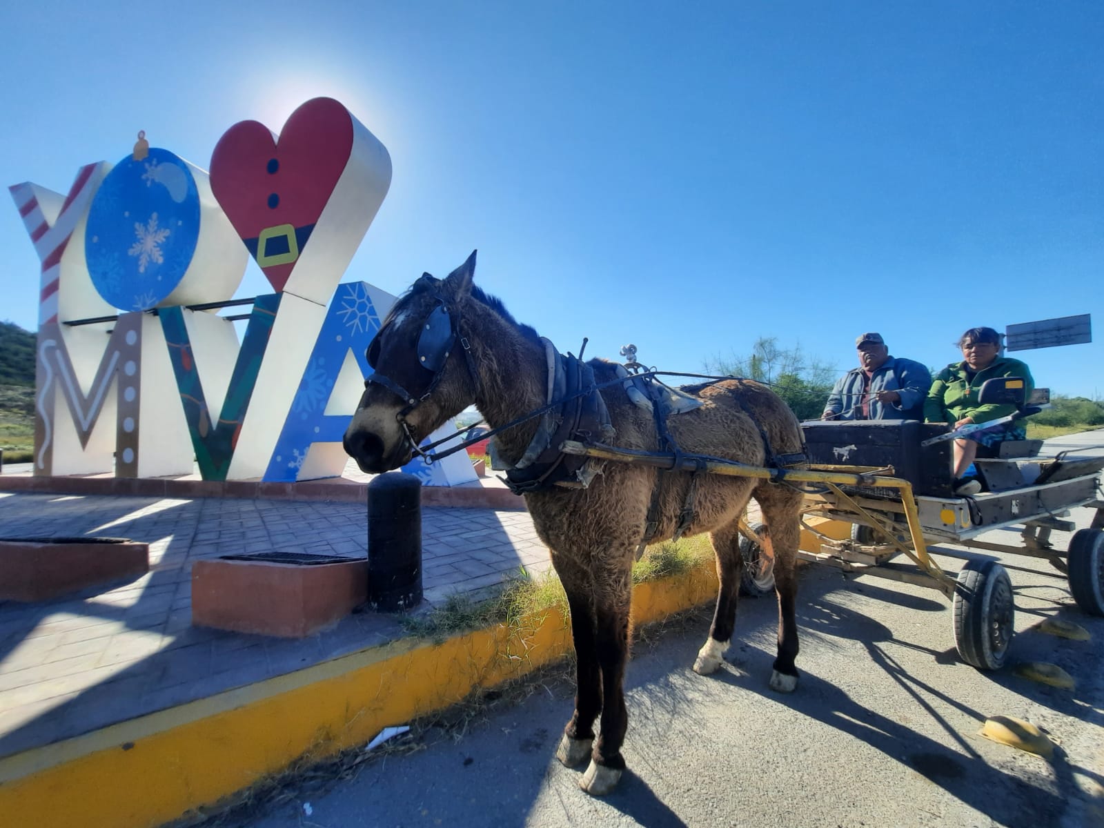 Se hace la vida don Chava en carreta con su “Pardo”
