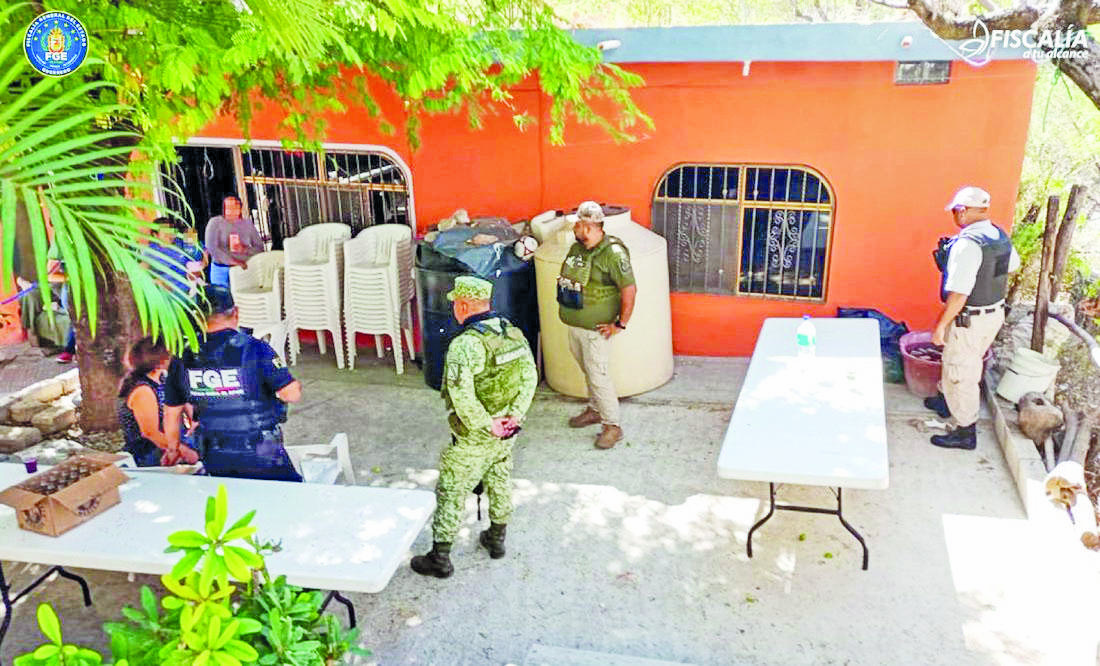 Plagian a 9 en Guerrero