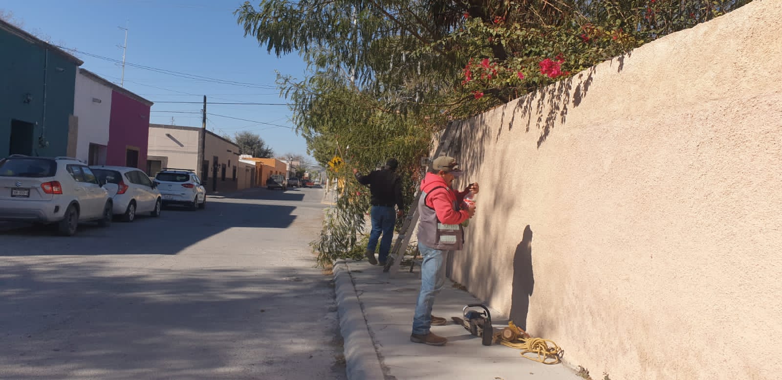 Poda árboles Municipio en primer bimestre del 2024