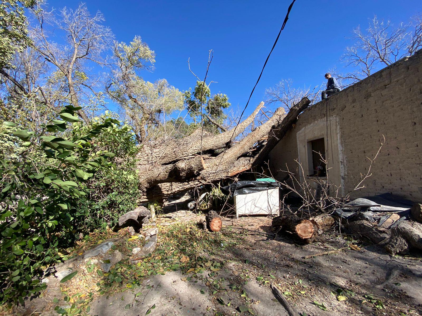 Azota viento de 70 kph a Parras