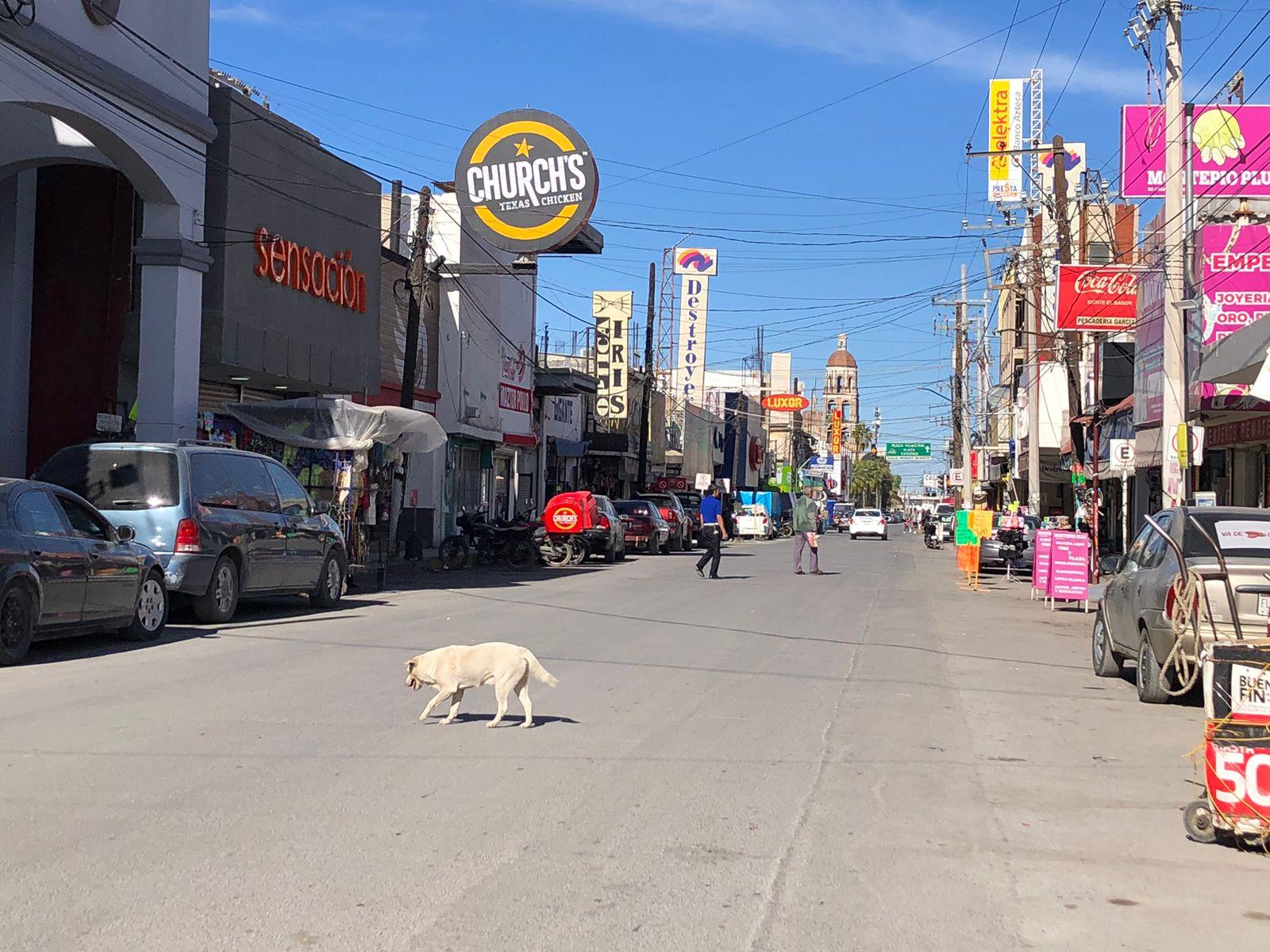 Rumor de enfrentamiento obrero vacía zona centro