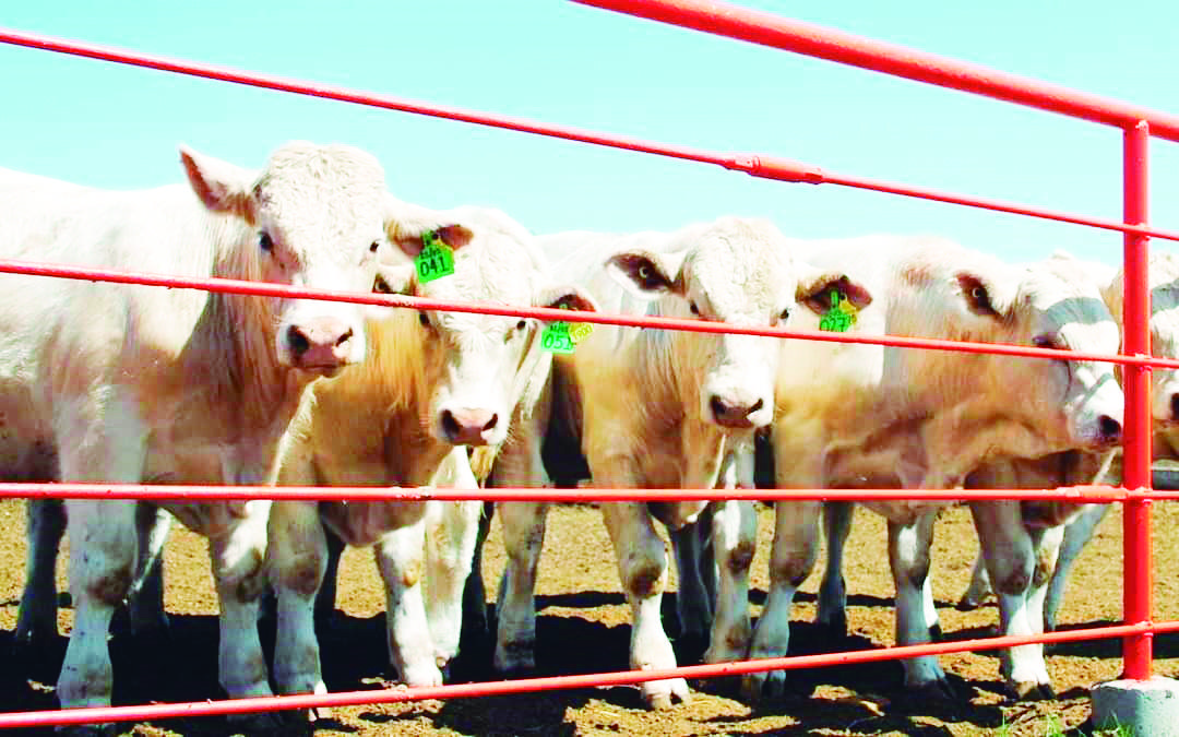Tendrá Desarrollo Rural reunión binacional en EU