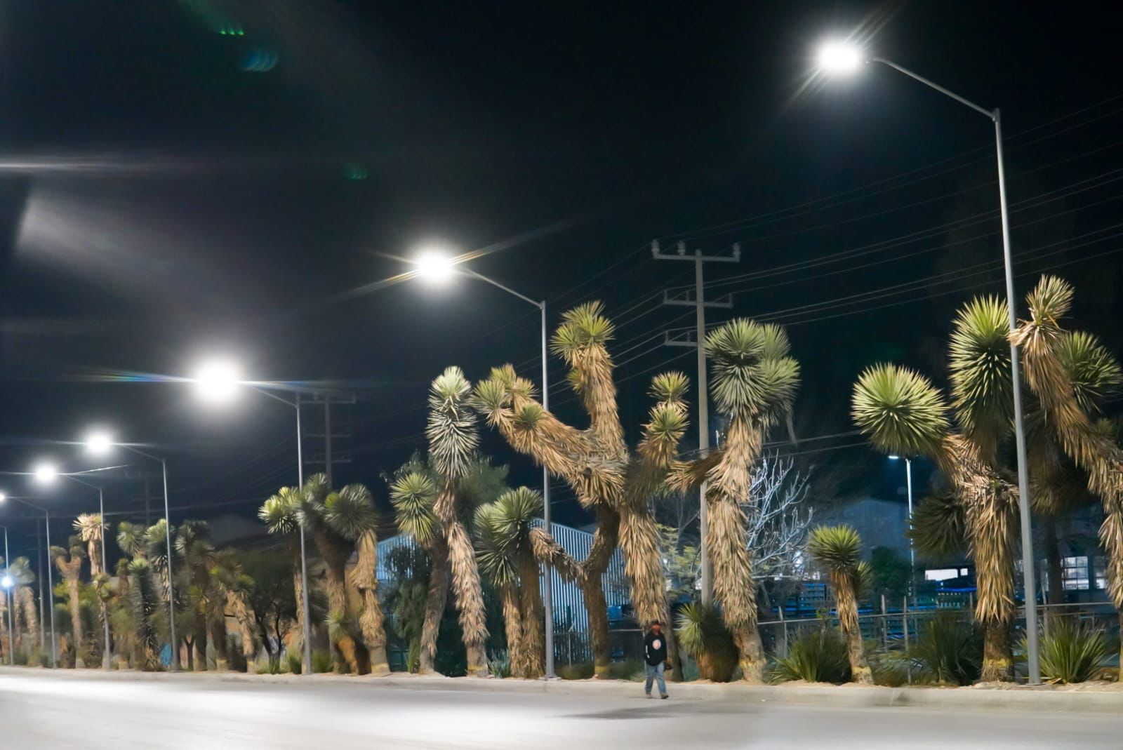 ENTREGA CHEMA MORALES ILUMINACIÒN DE LA CARRETERA LOS PINOS