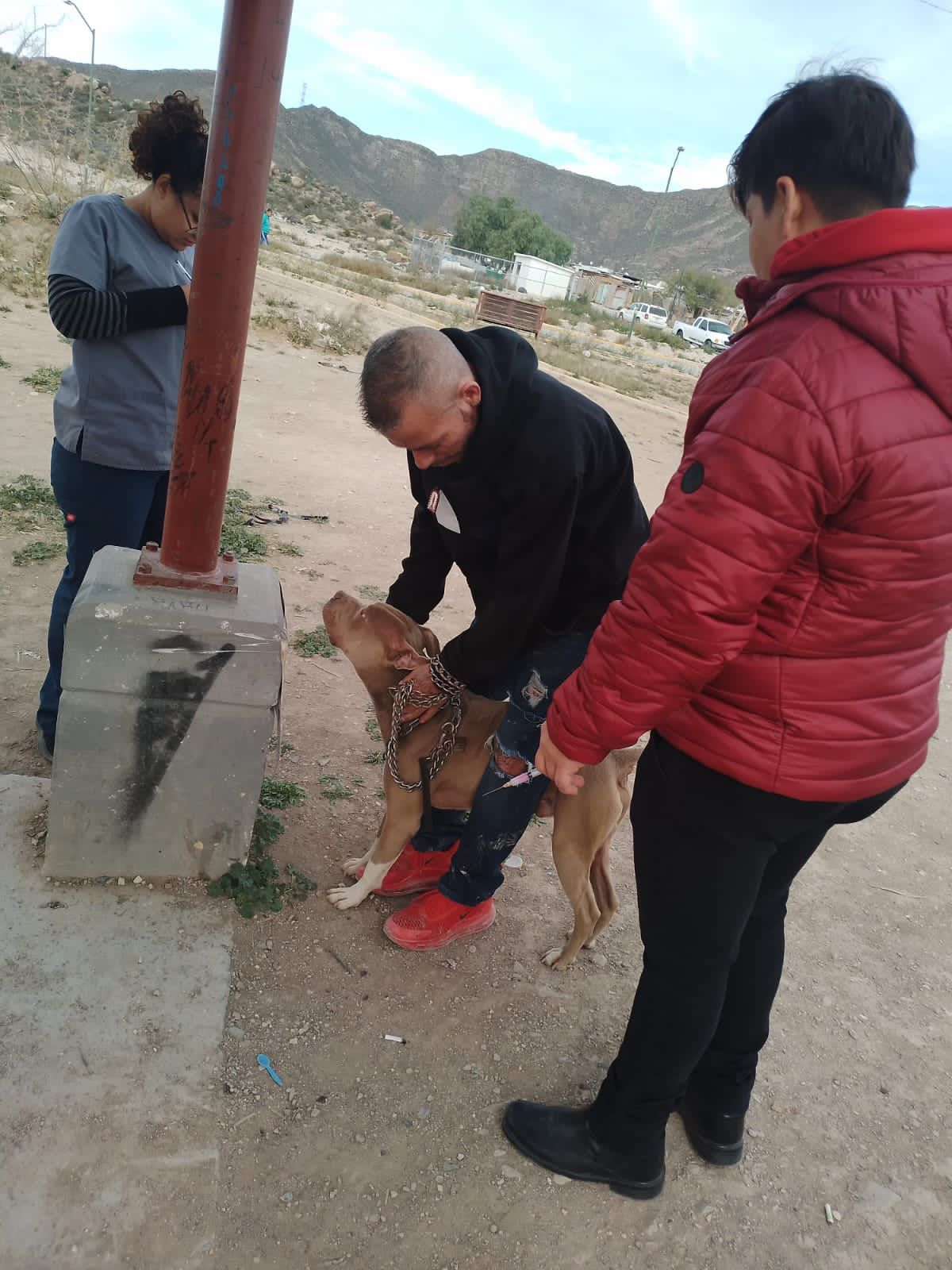 NUEVA BRIGADA DE VACUNACIÓN ANTIRRÁBICA EN RAMOS ARIZPE ESTA SEMANA
