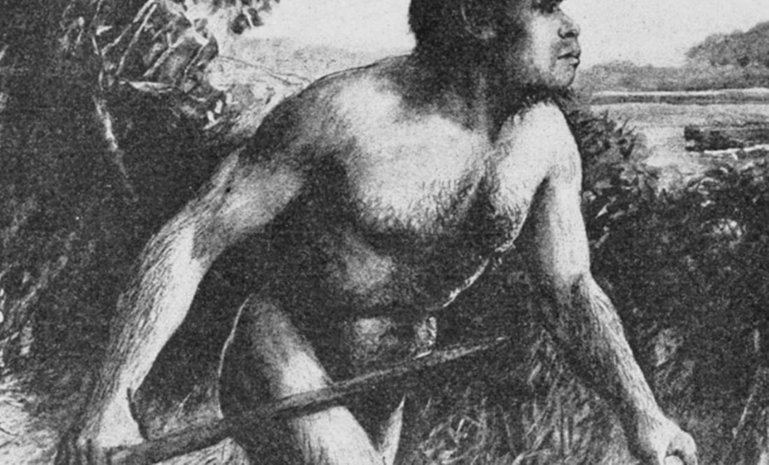Huesos de una mujer medieval predominan en «el Hombre de Piltdown», el fósil falso presentado como el primer antepasado humano