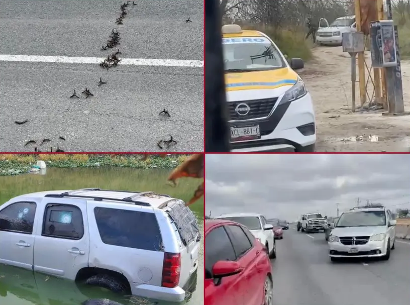 Reportan enfrentamientos a balazos, narcobloqueos y suspensión de clases en Reynosa